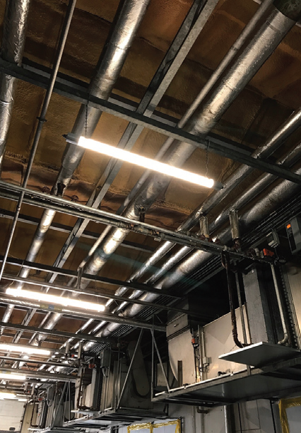 Megaman LED battens specified for mushroom farm