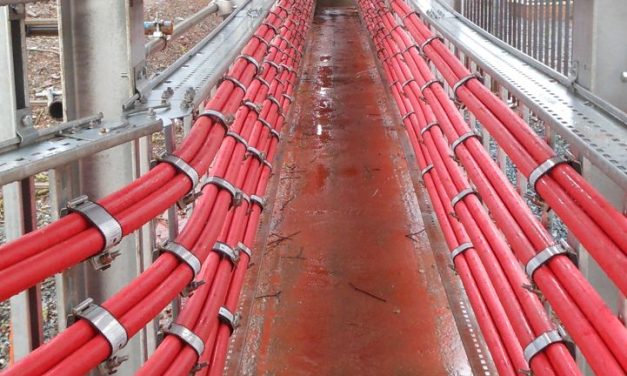 CMP partners with Salex for US distrubution