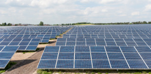 Photograph by Simon Callaghan