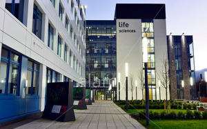 Dundee University School of Life Sciences, Discovery Centre for Translational and Interdisciplinary Research Dundee Scotland. Image shot 04/2015. Exact date unknown.