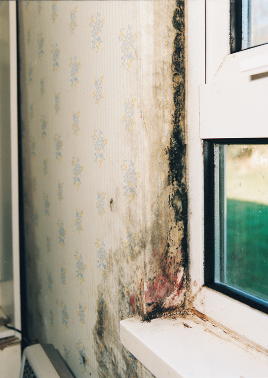 Poor ventilation linked to cardiovascular disease