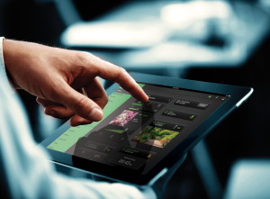 tablet in hand