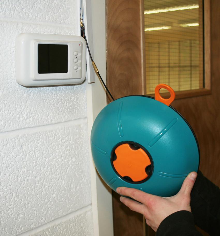 The year of the (Cable) Rat