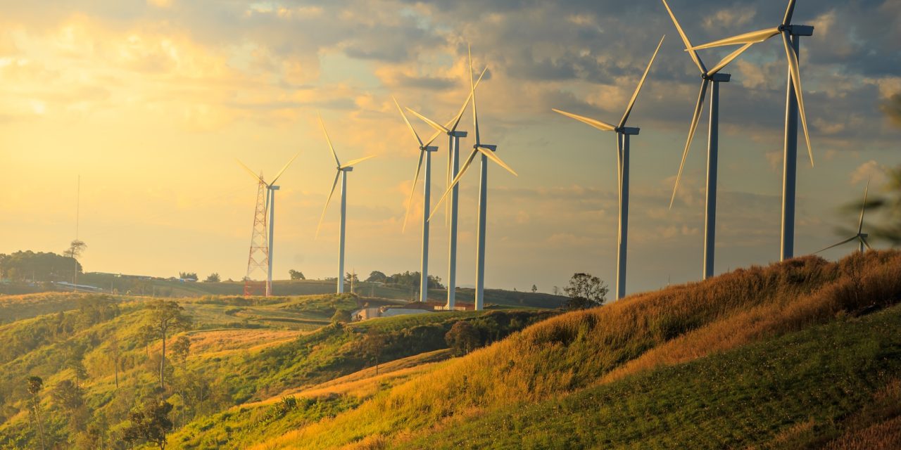 Wholesaler invests £100k in net zero mission