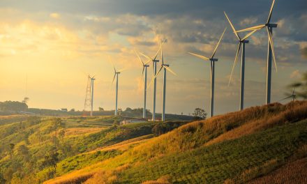 Wholesaler invests £100k in net zero mission