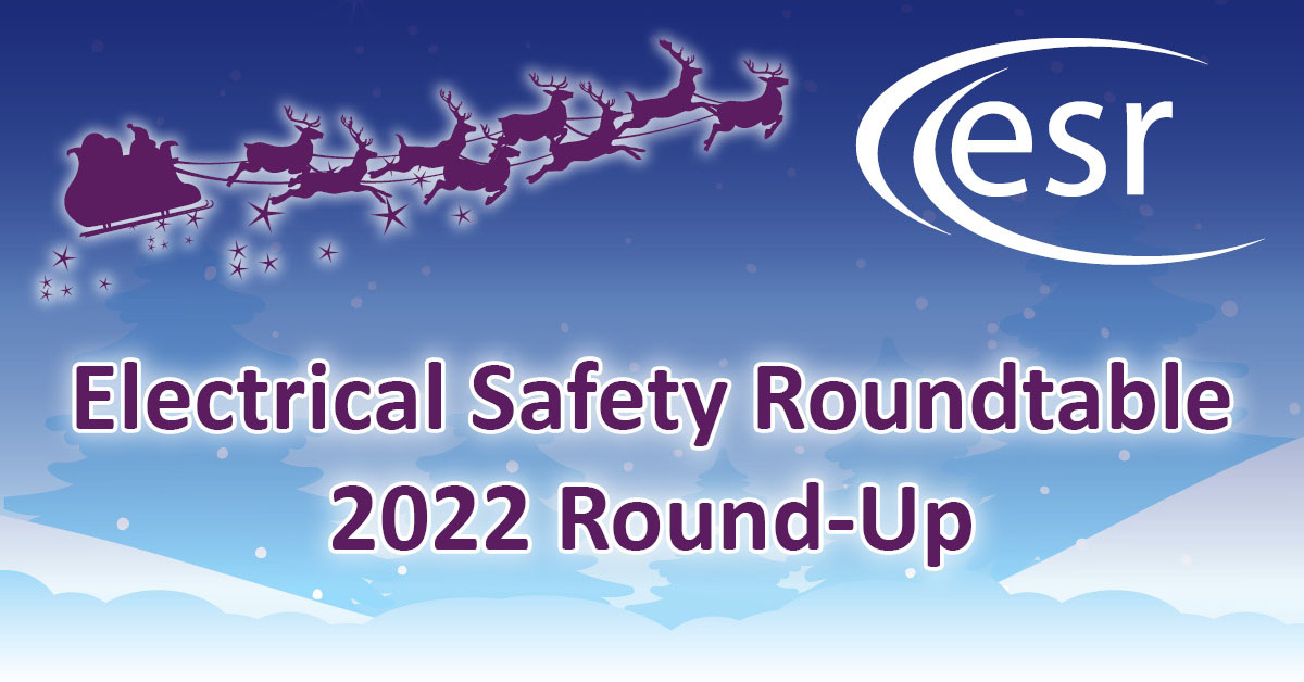 Looking back on a successful year: ESR 2022 Round Up
