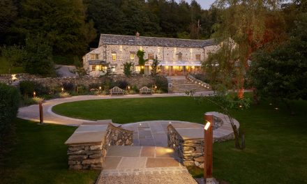 Collingwood publishes sustainable landscape lighting design guide