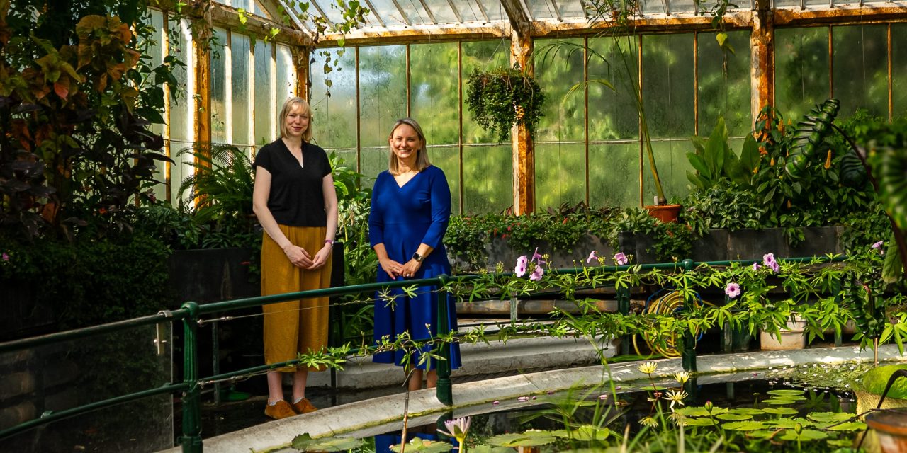 Schneider and RGB Kew partner on sustainability strategy