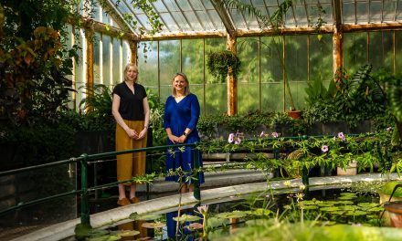 Schneider and RGB Kew partner on sustainability strategy