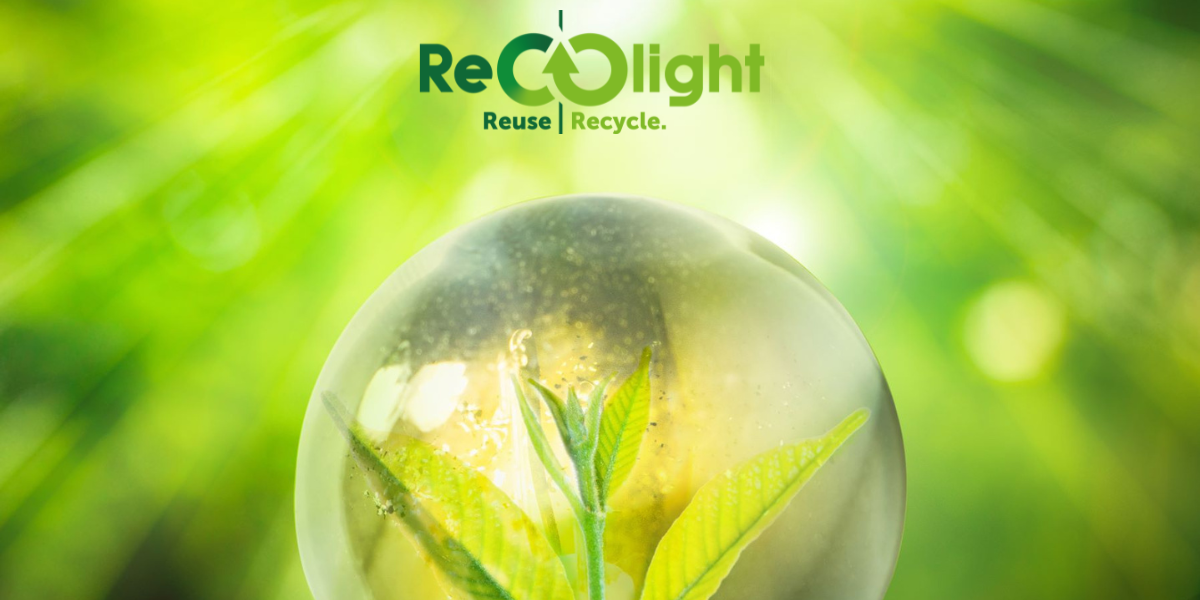 Recolight celebrates record membership growth