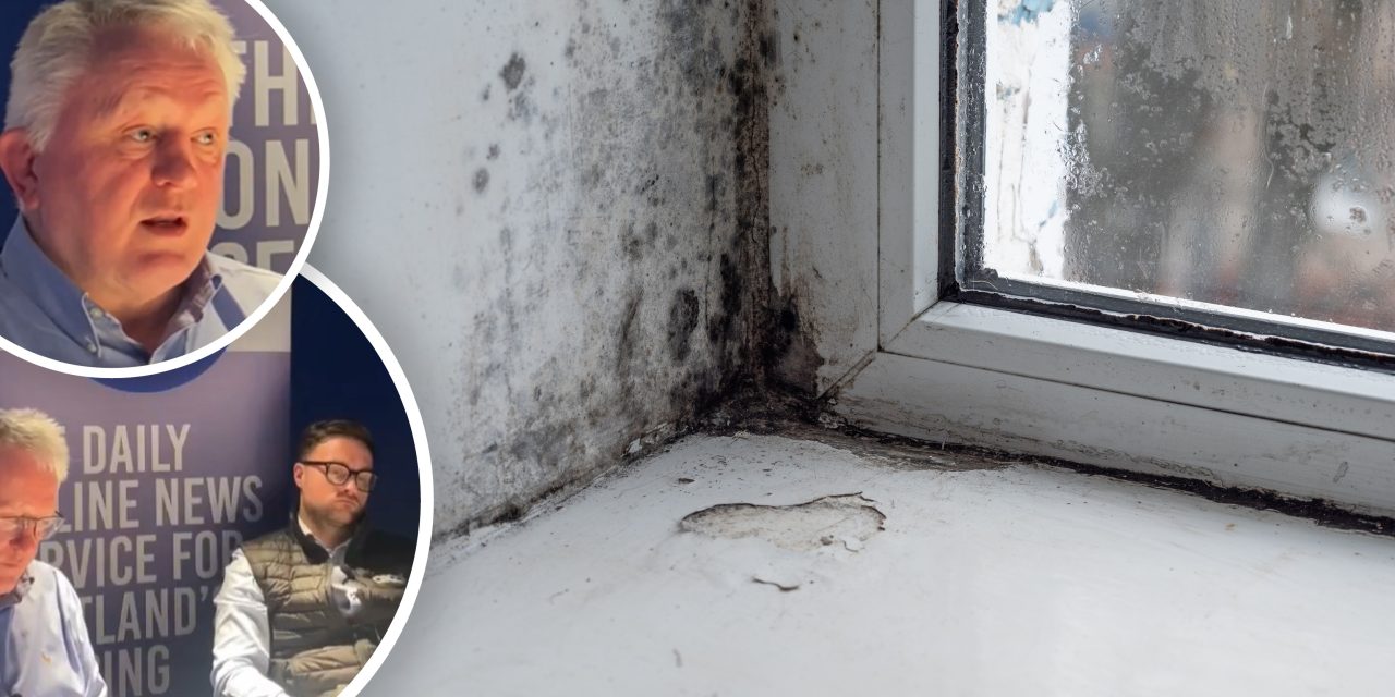 SELECT and Aico warn landlords to be prepared to act on new damp and mould rules