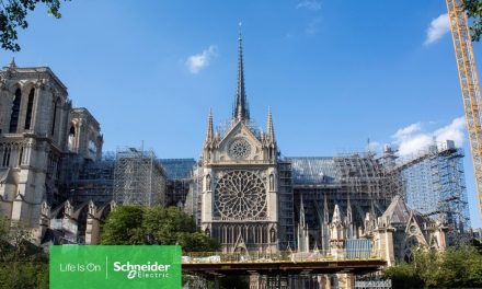 Schneider contributes to Notre Dame restoration