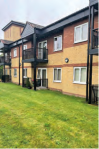 Screen Shot 2022 01 31 at 14.38.41 Illuminating Springhills