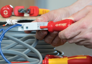 carlkammerling1 They’re not big, but they are clever