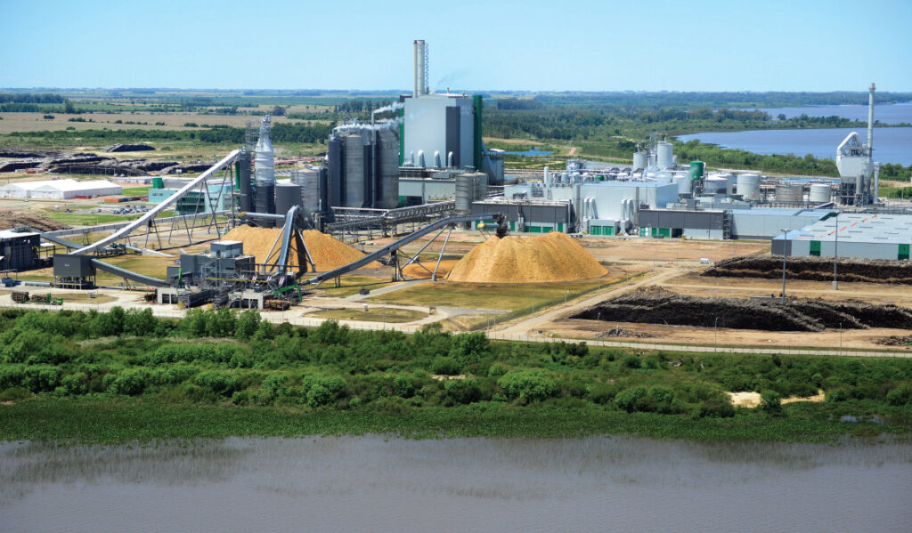 Montes Del Plata says yes to Ellis’ Emperor Cleats