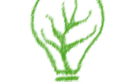 Recolight publishes 2025 ‘Commitment to Sustainability ‘