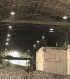 Luceco’s Ceres a ‘concrete’ success in Chihuahua!