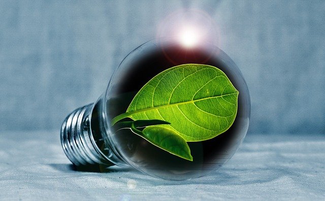 Signify calls for accelerated transition to energy-efficient LEDs to mitigate energy crisis