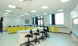 r 1 Pace PLUS backlit panel light unveiled