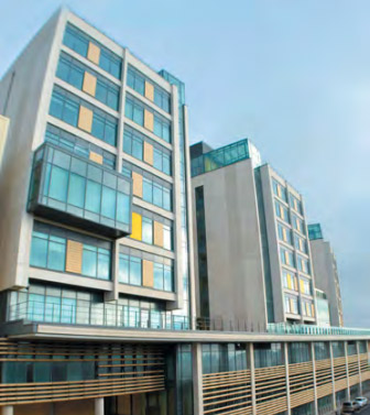 Wieland giving power to your health at Brighton 3Ts